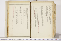 明い018031430010.jpg
