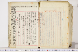 明い018031570003.jpg