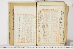 明い018031580003.jpg