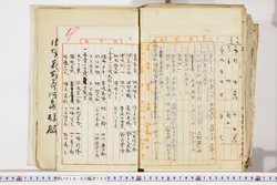 明い018031690004.jpg
