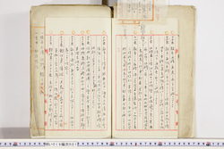 明い019000010004.jpg