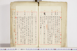 明い019000010005.jpg