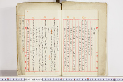 明い019000010006.jpg