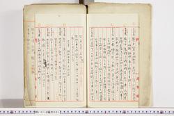 明い019000010007.jpg
