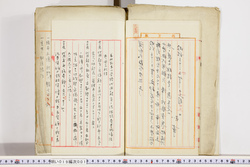 明い019000010010.jpg