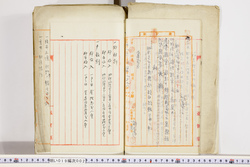明い019000020002.jpg