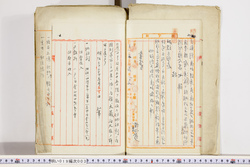 明い019000030002.jpg