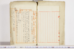 明い019000030003.jpg