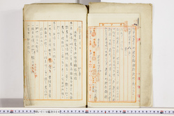 明い019000040002.jpg