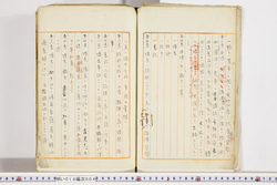 明い019000040003.jpg