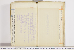 明い019000040006.jpg