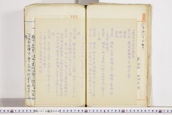 明い019000040007.jpg