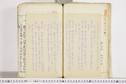 明い019000040008.jpg