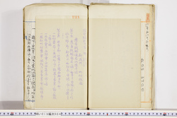 明い019000040010.jpg