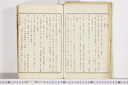明い019000050003.jpg