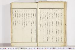 明い019000050006.jpg