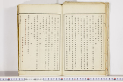 明い019000050007.jpg