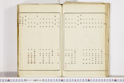 明い019000060003.jpg