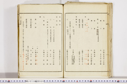 明い019000060005.jpg