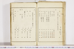 明い019000060006.jpg