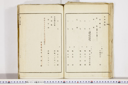 明い019000060007.jpg