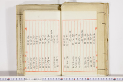 明い019000070005.jpg
