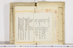 明い019000080004.jpg