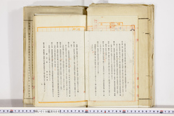 明い019000080005.jpg