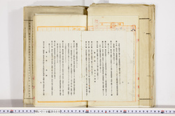 明い019000080006.jpg