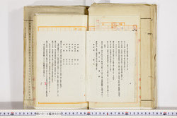 明い019000080007.jpg