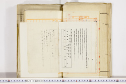 明い019000080008.jpg