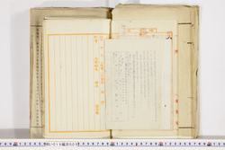 明い019000080009.jpg