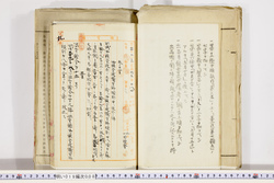 明い019000080012.jpg