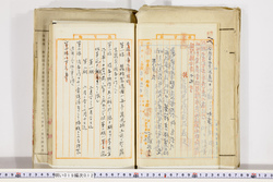 明い019000120002.jpg