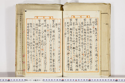 明い019000130006.jpg