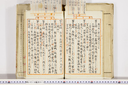 明い019000130009.jpg