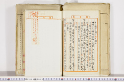 明い019000130010.jpg