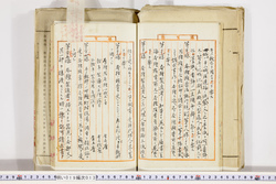 明い019000130011.jpg