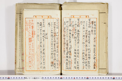 明い019000130012.jpg