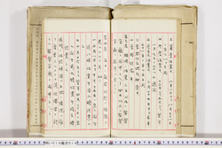 明い019000140003.jpg