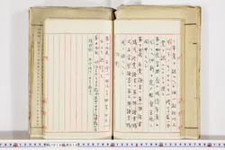 明い019000140006.jpg