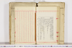 明い019000180019.jpg