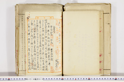 明い019000190005.jpg