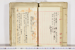 明い019000200003.jpg