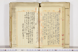 明い019000220002.jpg