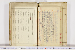 明い019000220003.jpg