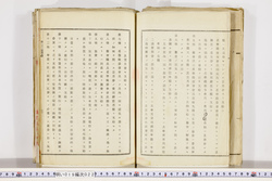 明い019000220004.jpg