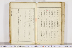 明い019000220005.jpg