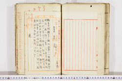 明い019000230006.jpg