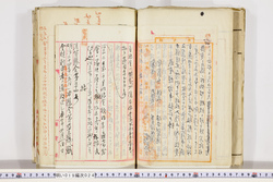 明い019000240002.jpg
